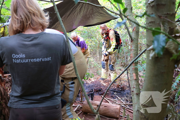 Bosbrand snel onder controle