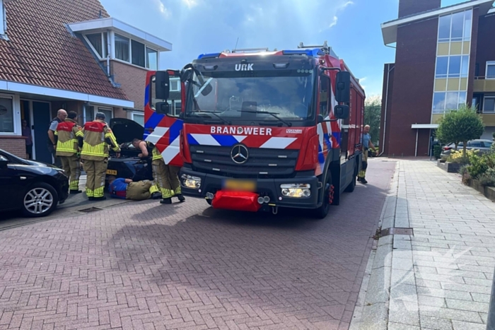 Kat vast in auto, brandweer schiet te hulp