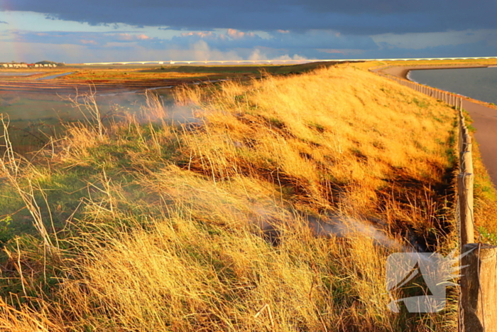 Bermbrand zet natuurgebied in vuur
