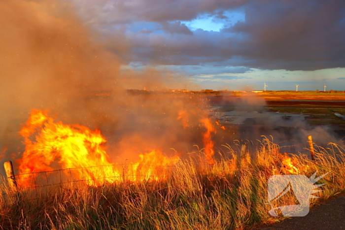 Bermbrand zet natuurgebied in vuur