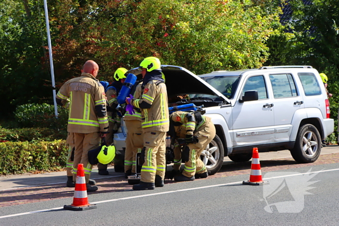 Dynamo oorzaak van autorook