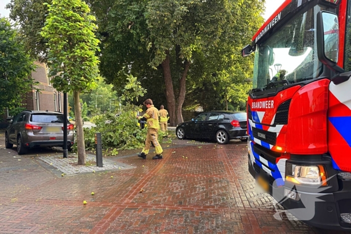 Brandweer verwijdert gebroken tak