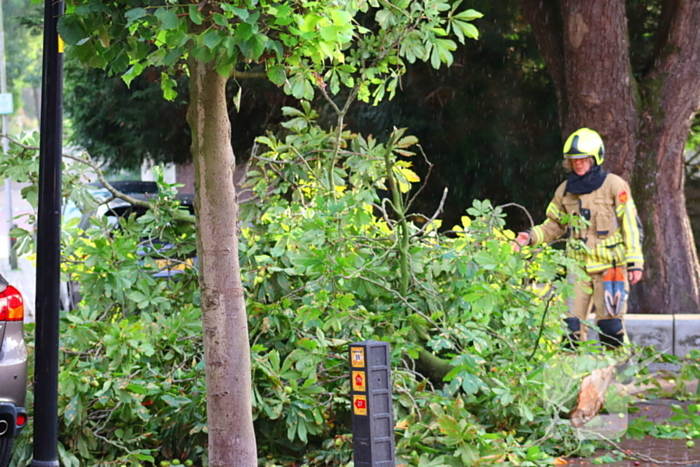 Brandweer verwijdert gebroken tak