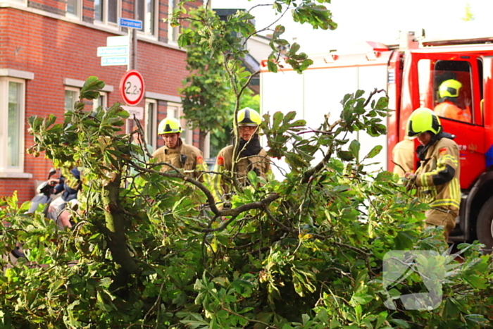 Brandweer verwijdert gebroken tak
