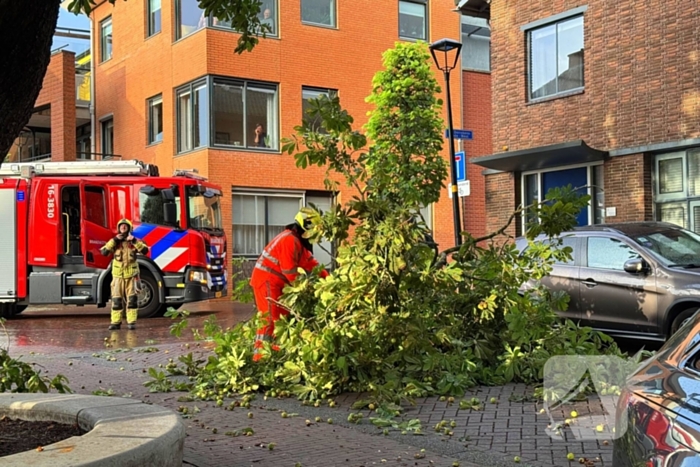 Brandweer verwijdert gebroken tak