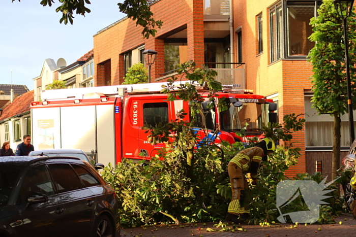 Brandweer verwijdert gebroken tak