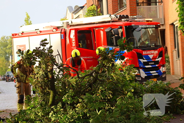 Brandweer verwijdert gebroken tak