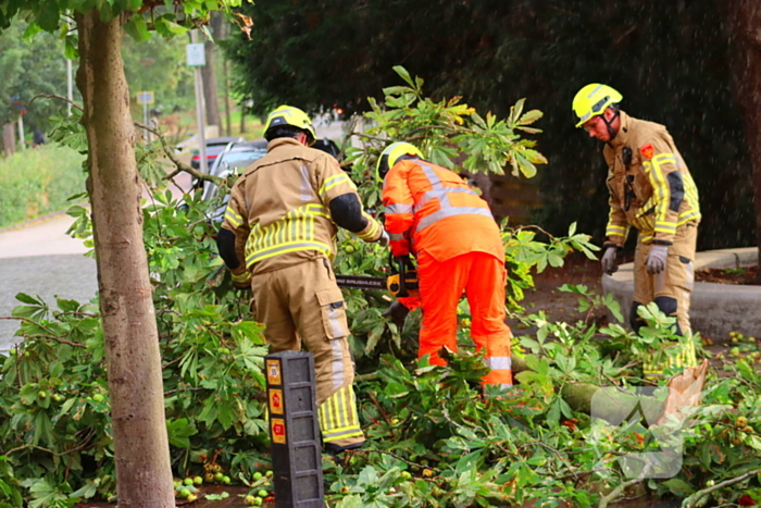 Brandweer verwijdert gebroken tak