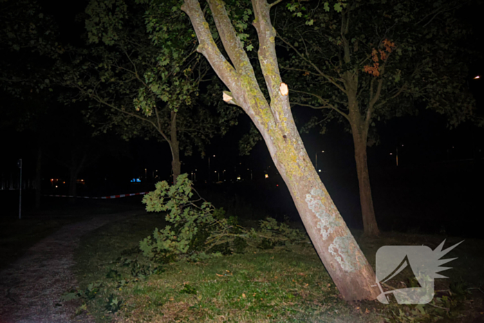 Brandweer zaagt takken van schuinstaande boom af