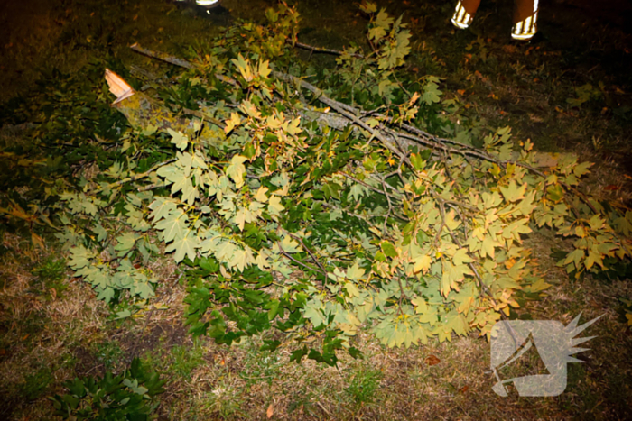 Brandweer zaagt takken van schuinstaande boom af
