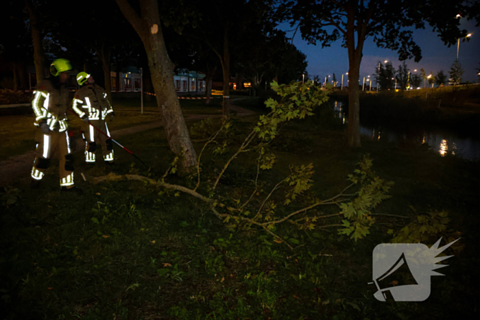 Brandweer zaagt takken van schuinstaande boom af