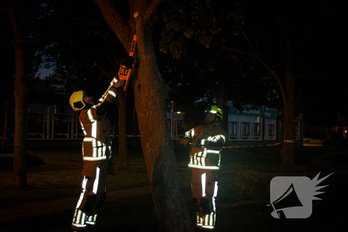 Brandweer zaagt takken van schuinstaande boom af