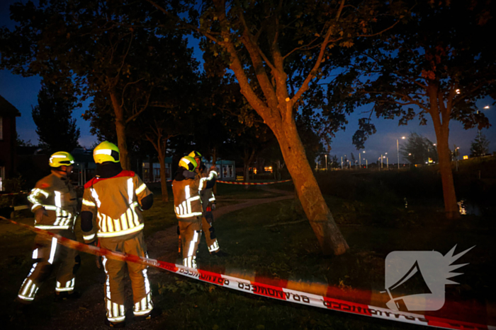 Brandweer zaagt takken van schuinstaande boom af