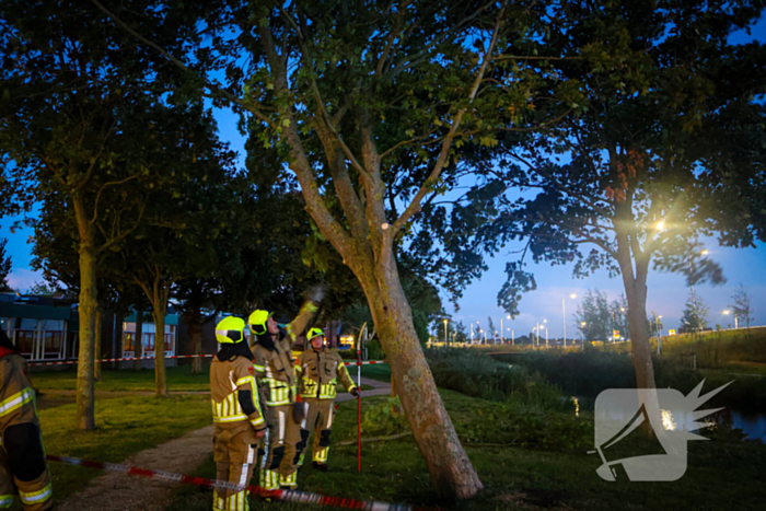 Brandweer zaagt takken van schuinstaande boom af