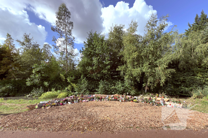 Monument ter nagedachtenis aan Lisa