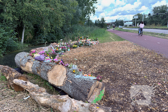 Monument ter nagedachtenis aan Lisa