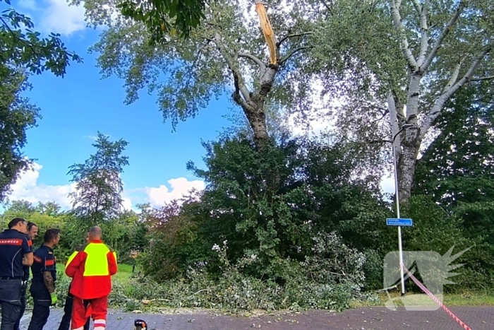 Gewonde door vallende tak