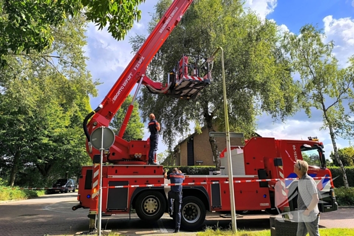 Gewonde door vallende tak