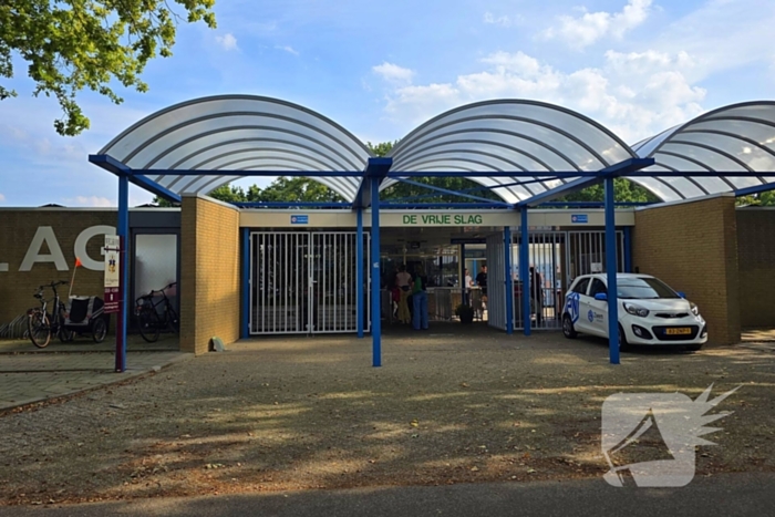 Honden nemen zwembad over tijdens jaarlijkse hondenplons