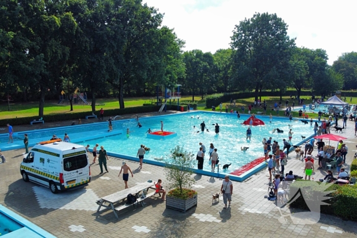 Honden nemen zwembad over tijdens jaarlijkse hondenplons