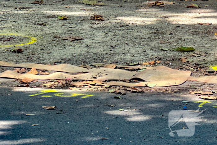 Gewonde na fatbike-ongeluk