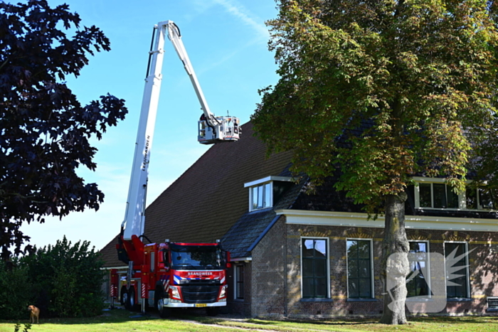 Brandweer inzet voor kitten niet nodig