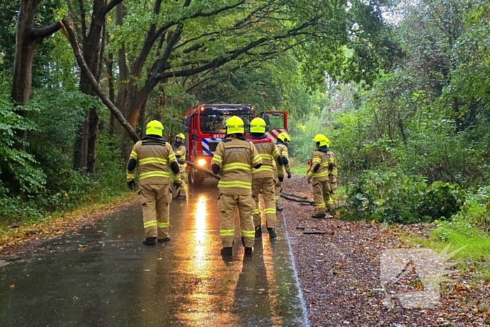 Brandweer verwijdert gevaarlijke tak uit boom