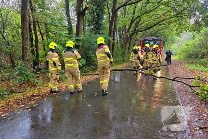 Brandweer verwijdert gevaarlijke tak uit boom