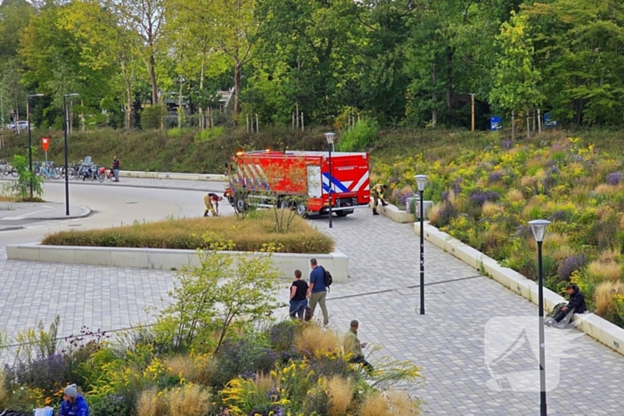 Rookontwikkeling in trein