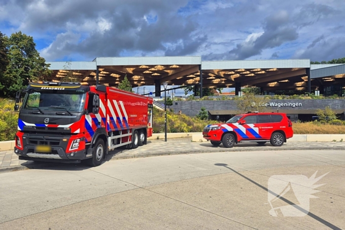 Rookontwikkeling in trein