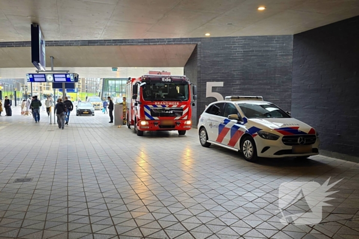 Rookontwikkeling in trein