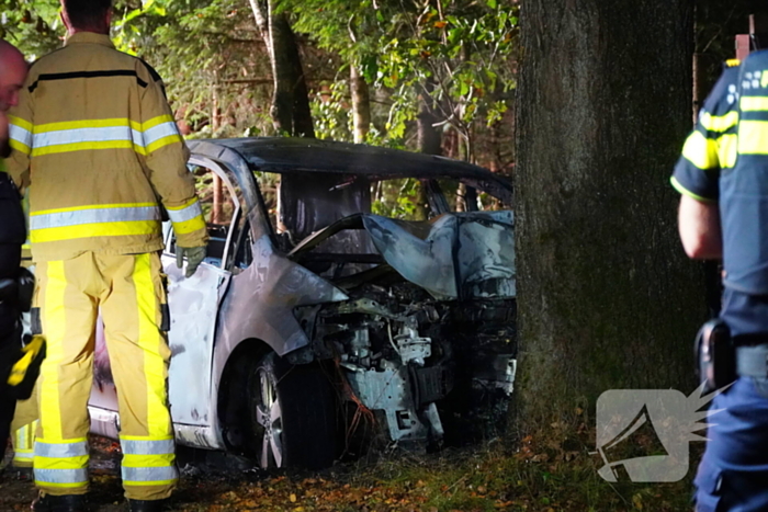 Auto klapt tegen boom en vliegt in brand