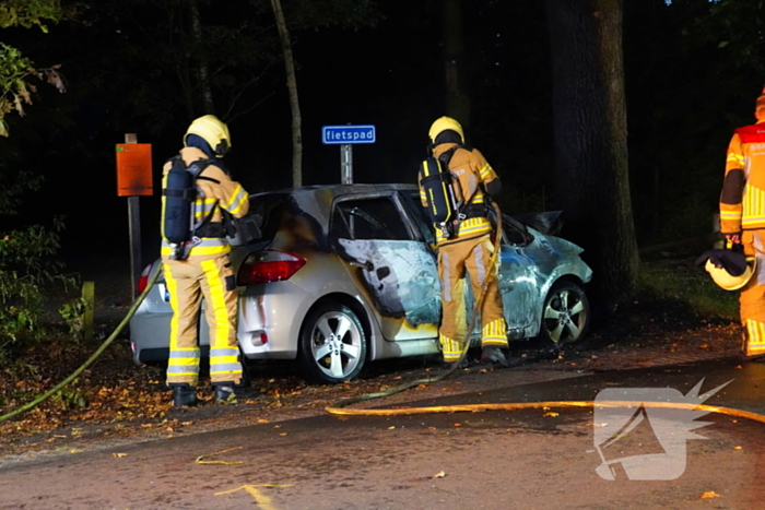 Auto klapt tegen boom en vliegt in brand