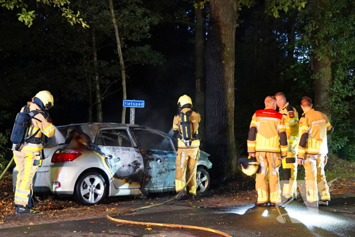 Auto klapt tegen boom en vliegt in brand