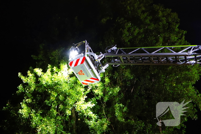 Boom getroffen door blikseminslag