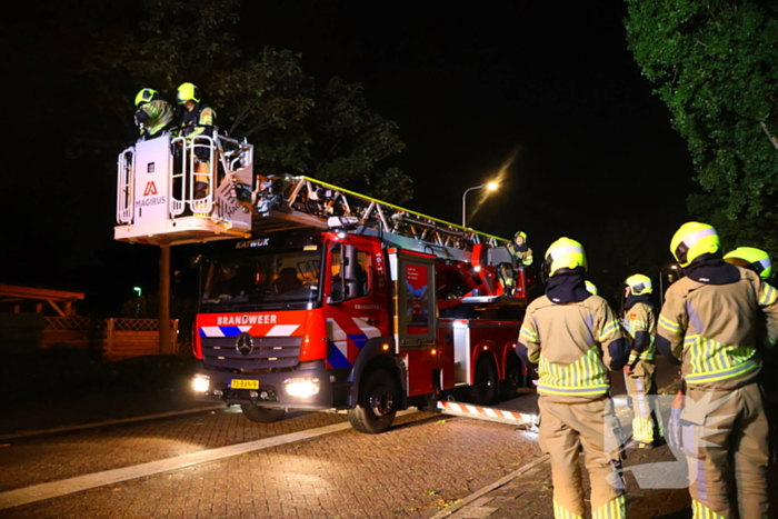 Boom getroffen door blikseminslag