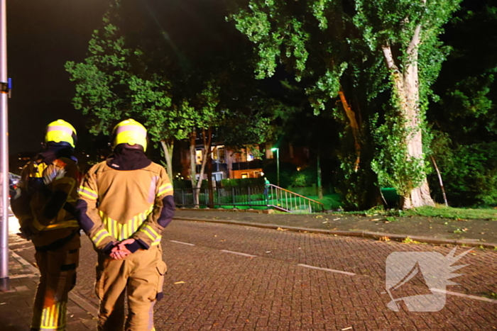 Boom getroffen door blikseminslag