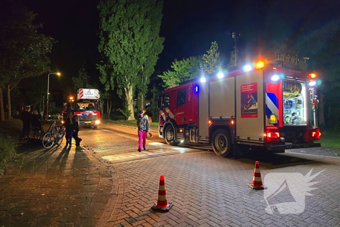 Boom getroffen door blikseminslag