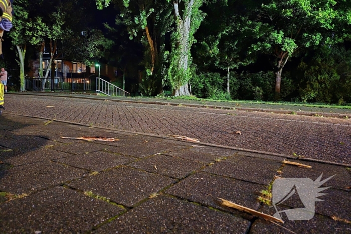 Boom getroffen door blikseminslag