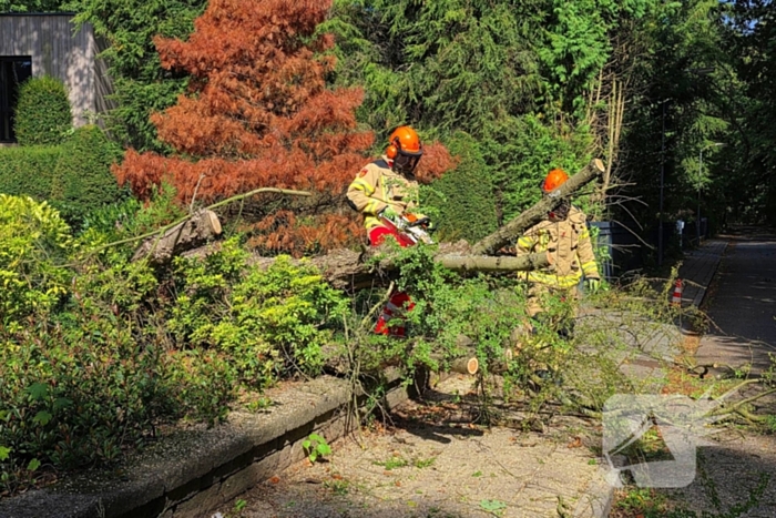 Storm doet boom omvallen op wegdek