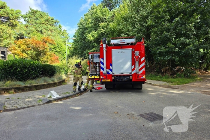 Storm doet boom omvallen op wegdek
