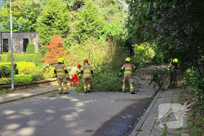 Storm doet boom omvallen op wegdek
