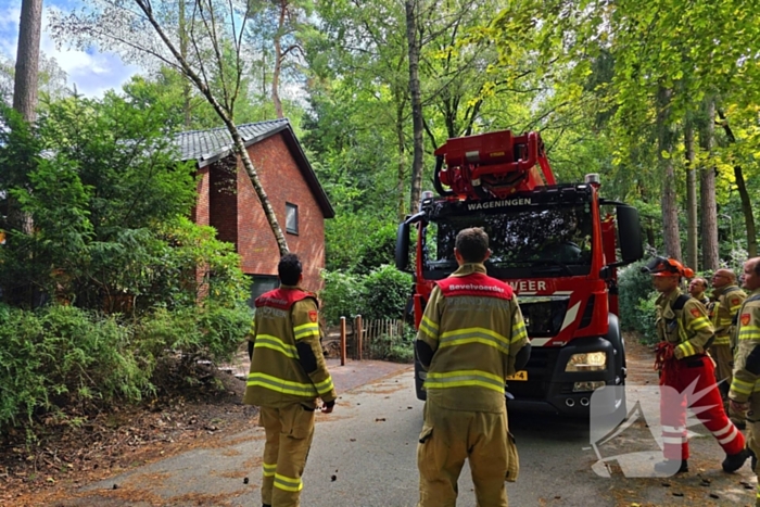 Boom valt op woning door storm