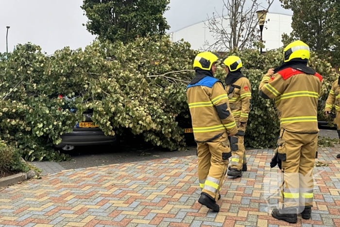 Omgevallen boom beschadigt meerdere auto's