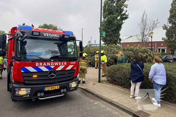 Omgevallen boom beschadigt meerdere auto's