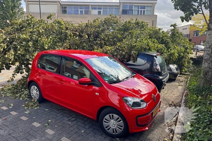 Omgevallen boom beschadigt meerdere auto's