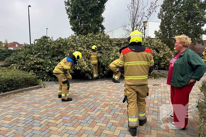 Omgevallen boom beschadigt meerdere auto's