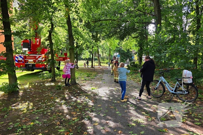 Tak blokkeert fietspad na storm