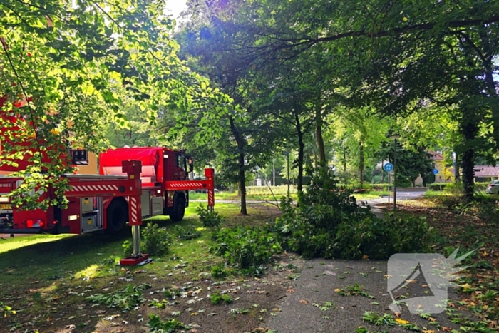 Tak blokkeert fietspad na storm
