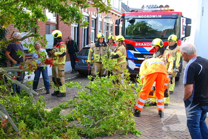 Brandweer in actie na omgewaaide boom